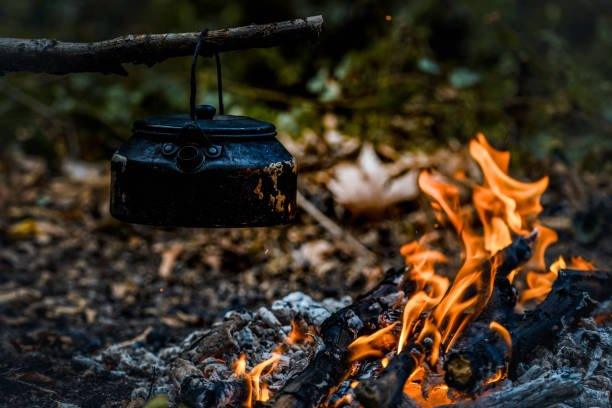 Delicias al Aire Libre: Recetas Simples y Sabrosas para tus Aventuras - Rhino Global Store