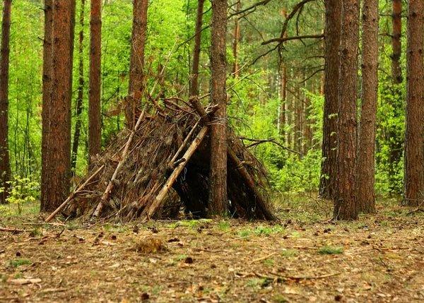 Construcción de Refugios Improvisados en la Naturaleza: Guía Esencial - Rhino Global Store